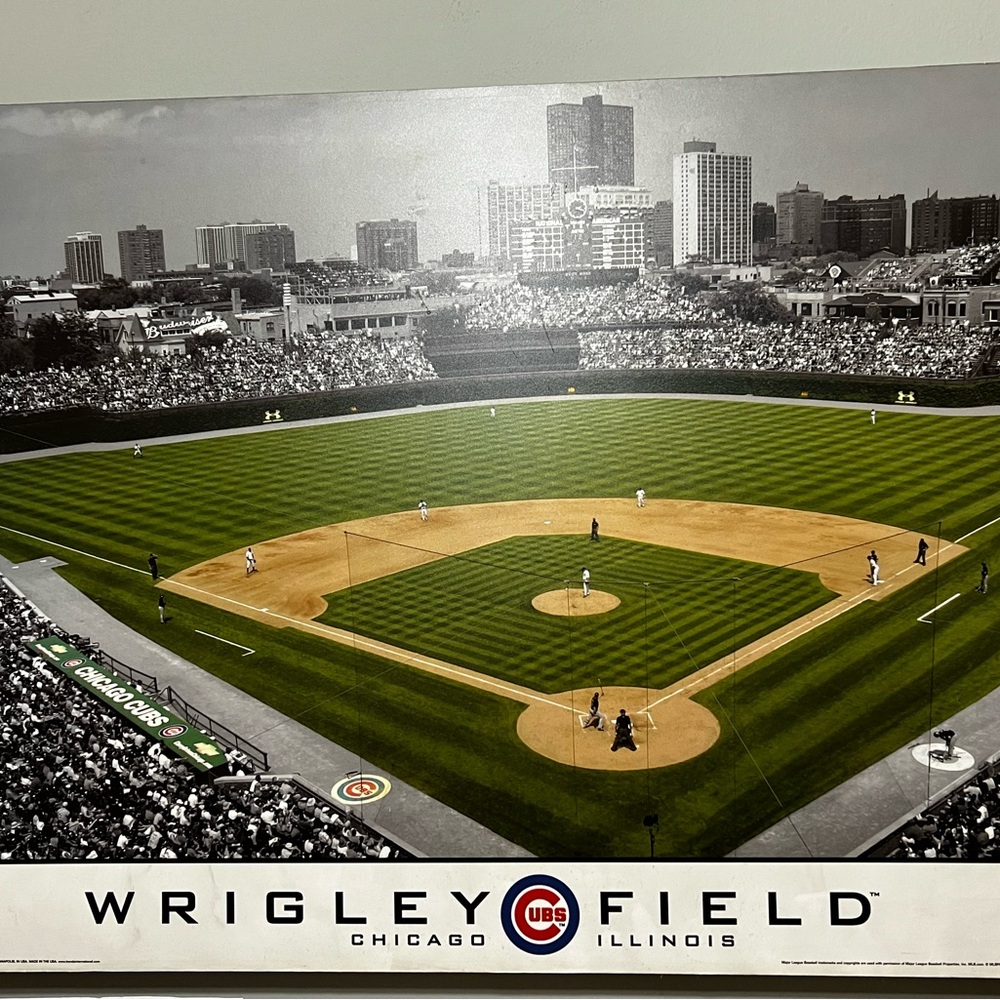 Cubs photo